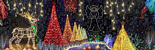 Wonderland of Lights